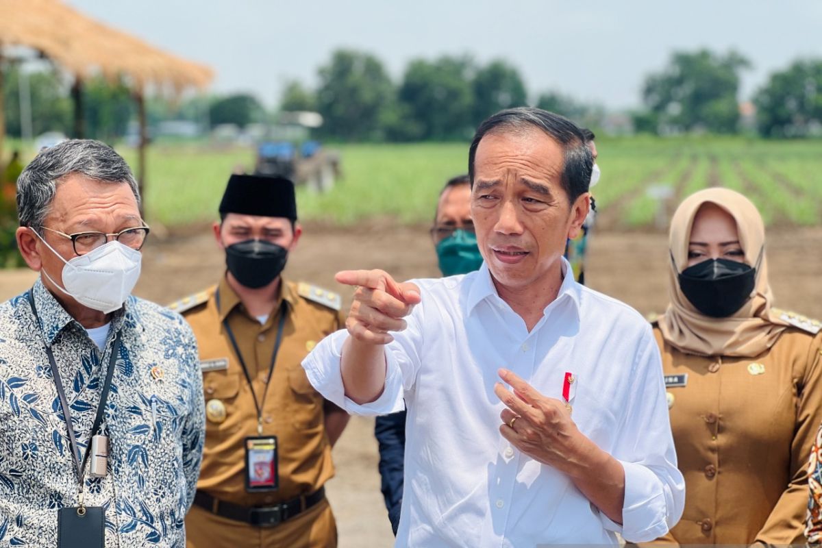 Presiden siapkan 700 ribu hektare lahan untuk swasembada gula