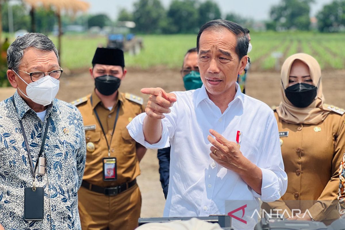 Jokowi: Pemerintah siapkan 700 ribu hektare lahan dukung swasembada gula