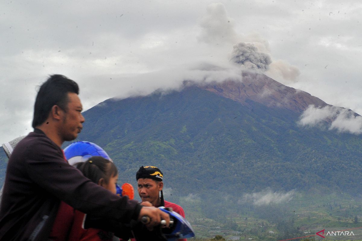 Banyak tanaman petani di Solok Selatan rusak akibat abu vulkanis