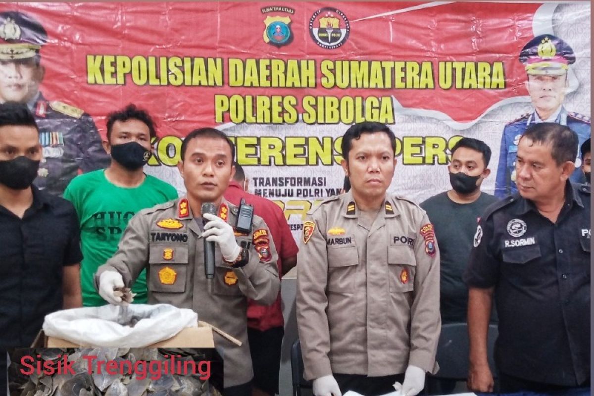 Polres Sibolga amankan 15 kilogram sisik trenggiling dari dua tersangka