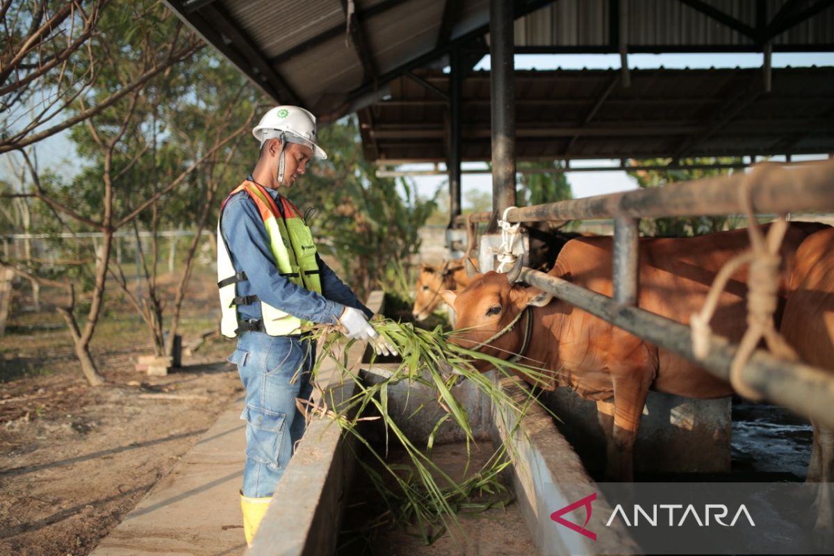 Kampoeng Reklamasi Air Jangkang, kawasan terpadu yang jadi destinasi wisata