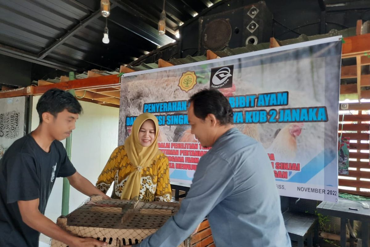 Wabup Sinjai mendistribusikan bibit ayam Balitnak Kementan