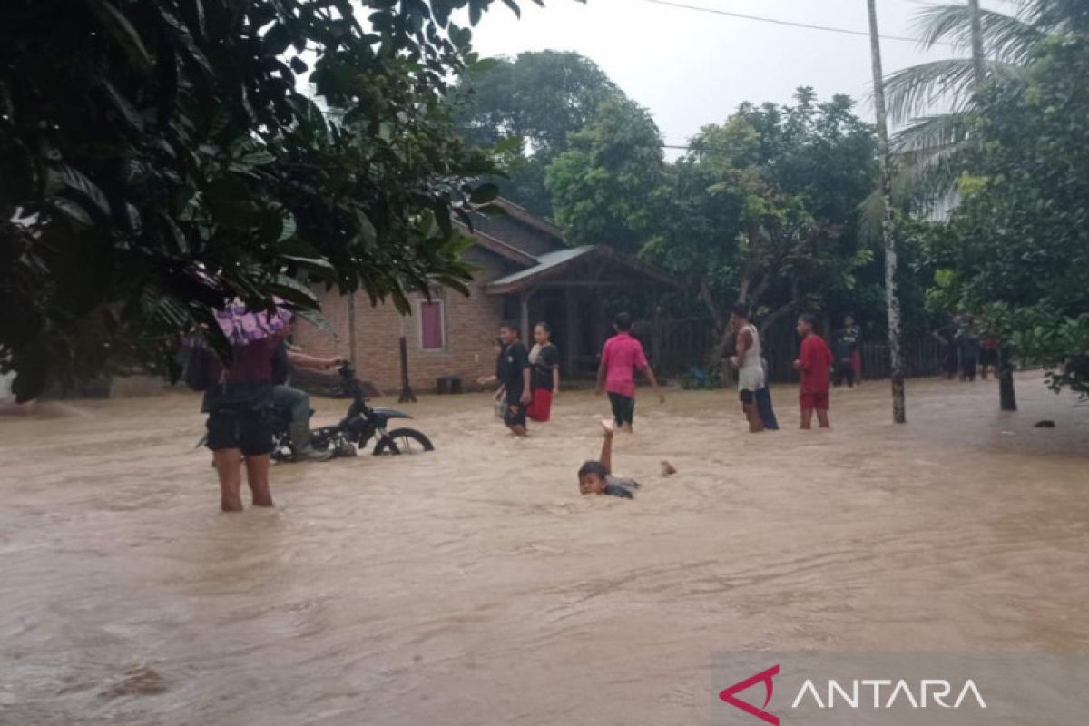 Banjir masih merendam sejumlah wilayah Aceh Timur, pengungsi 480 jiwa