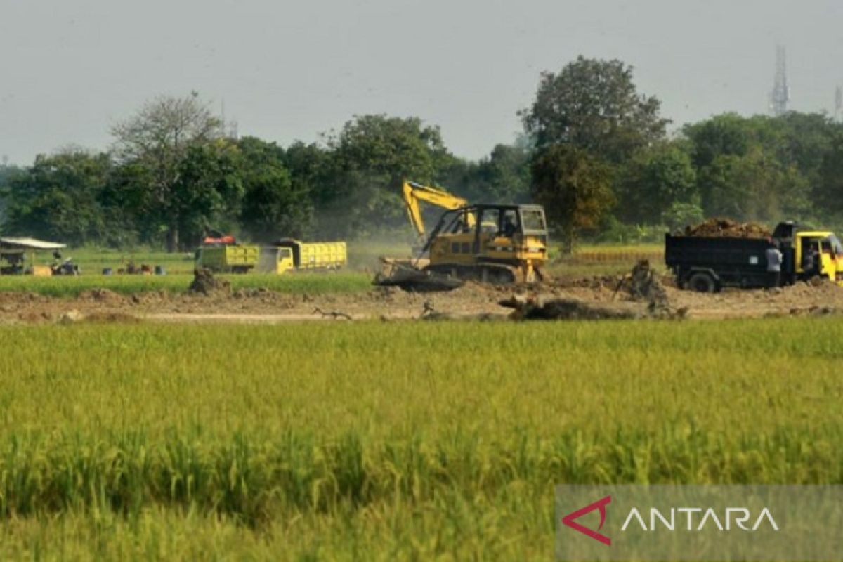 Menjaga areal lahan pertanian di tengah laju investasi di Karawang