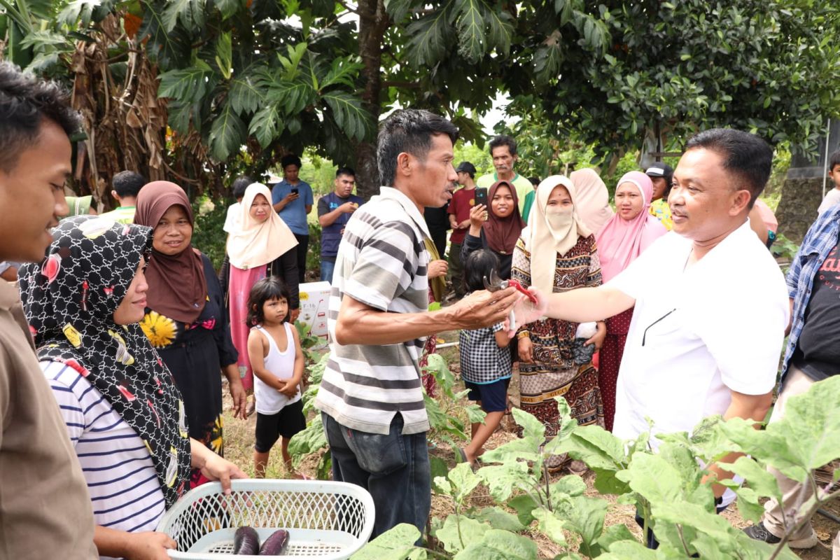 Dukung kampung buah, petani tanam puluhan ribu pohon pisang