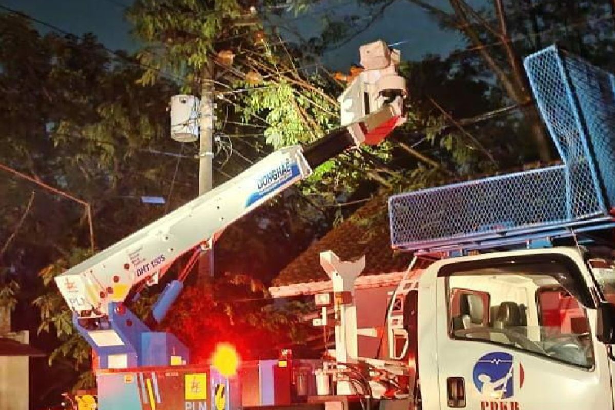 PLN kerahkan pasukan untuk pemulihan jaringan listrik di Kabupaten Pekalongan