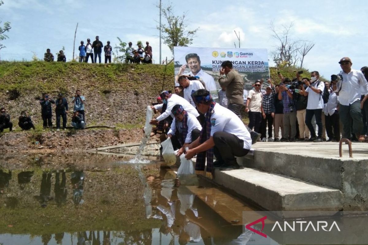 Mentan lepas benih ikan 10.000 ekor di Bendungan Ladongi Sulawesi Tenggara