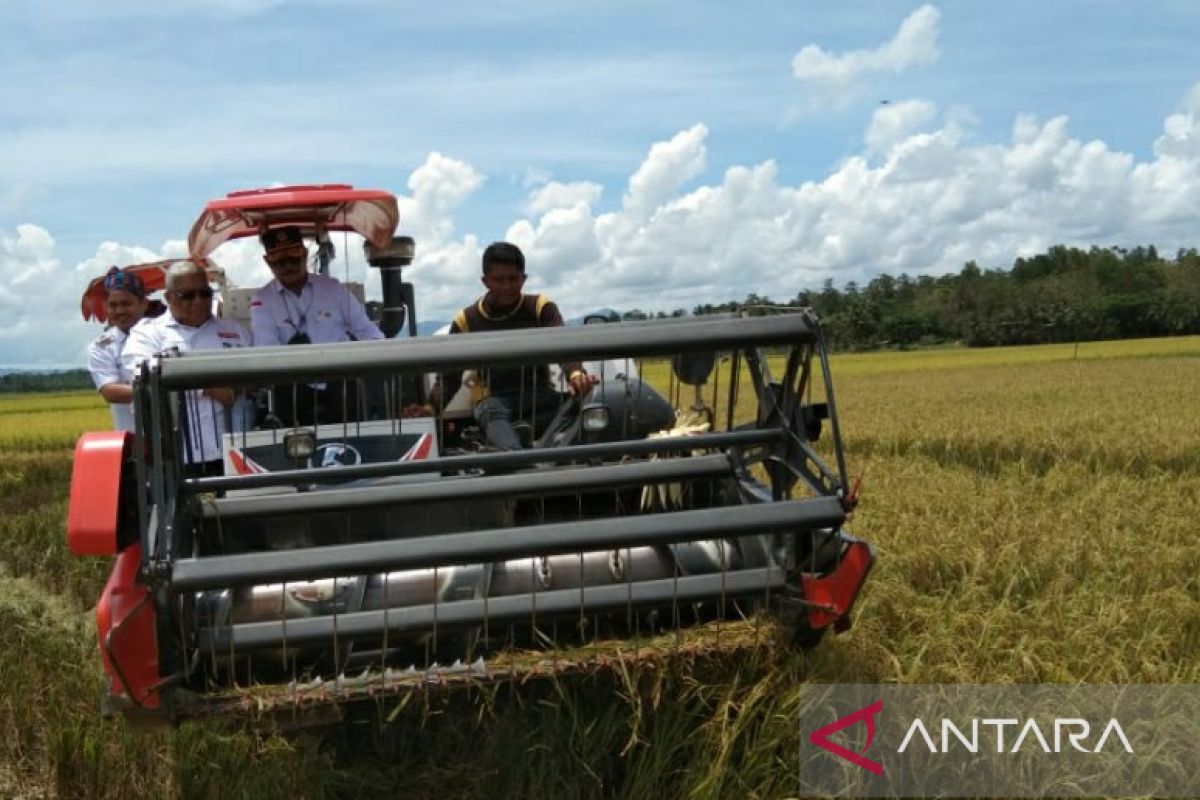 Mentan SYL panen padi 4.000 hektare di Kolaka Timur Sultra