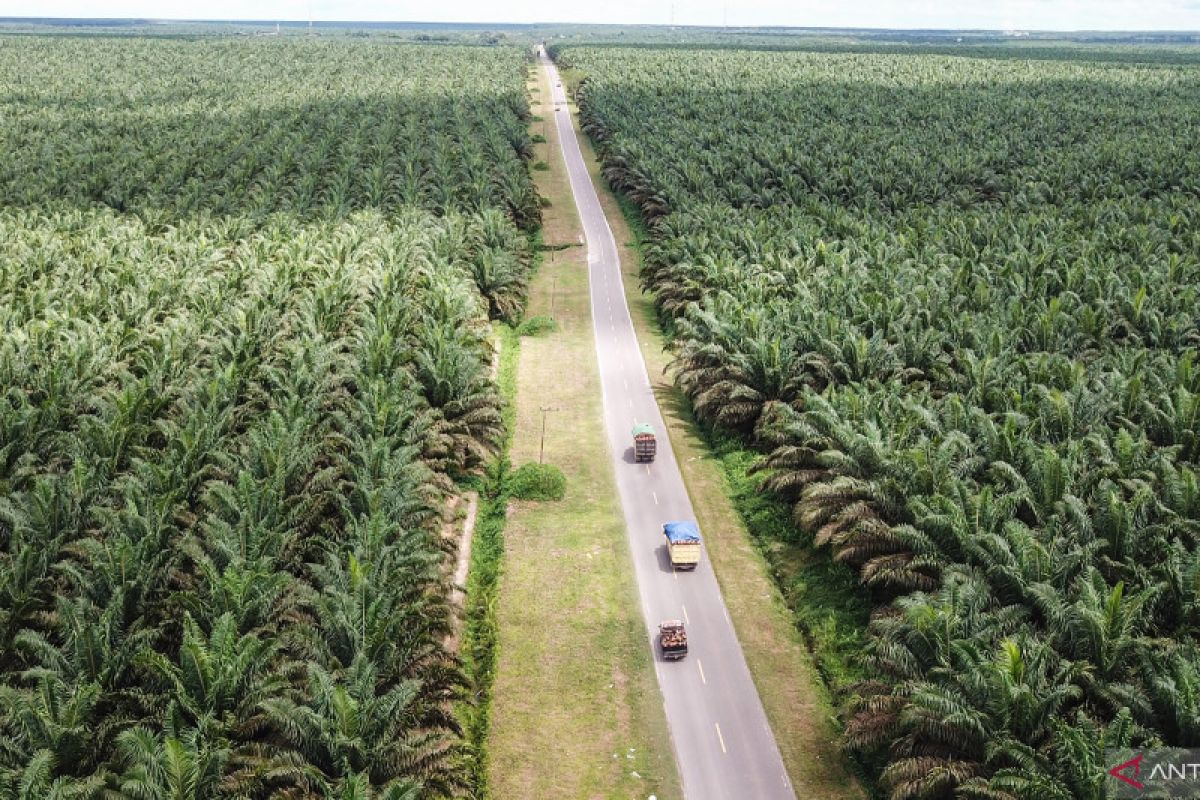 KPK temukan 8,3 juta hektare lahan HGU belum terpetakan di Indonesia
