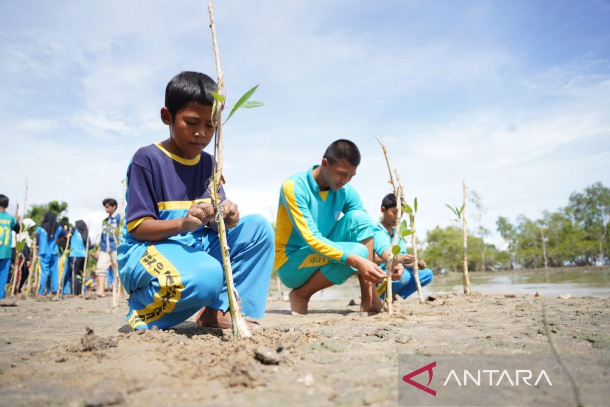 Jaga ekosistem laut, PT Timah libatkan pelajar dalam penanaman mangrove di Desa Batu Belubang