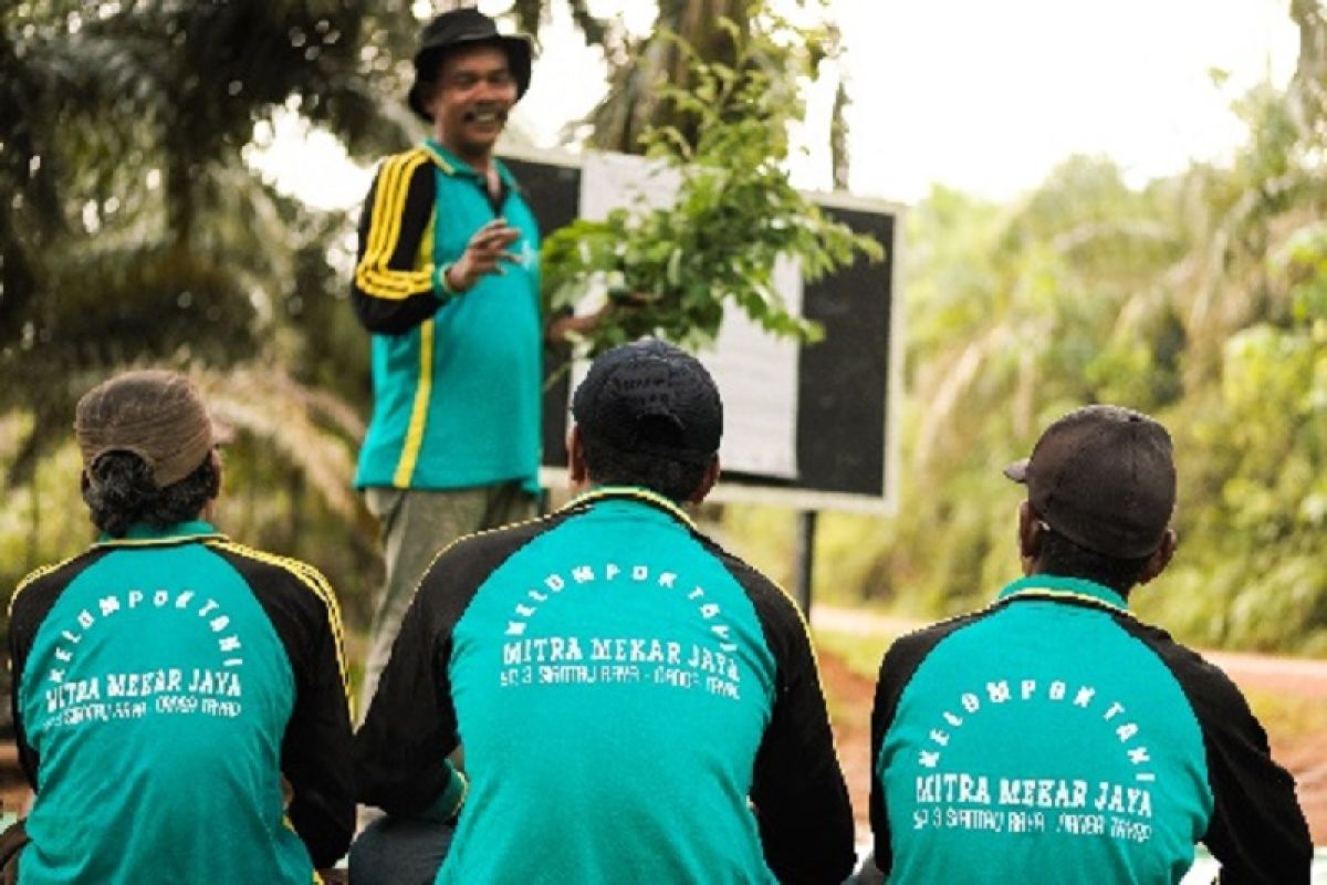 Sinar Mas Agribusiness and Food dan TaniFoundation jalin kerja sama tingkatkan literasi pertanian 80 kelompok di Indonesia