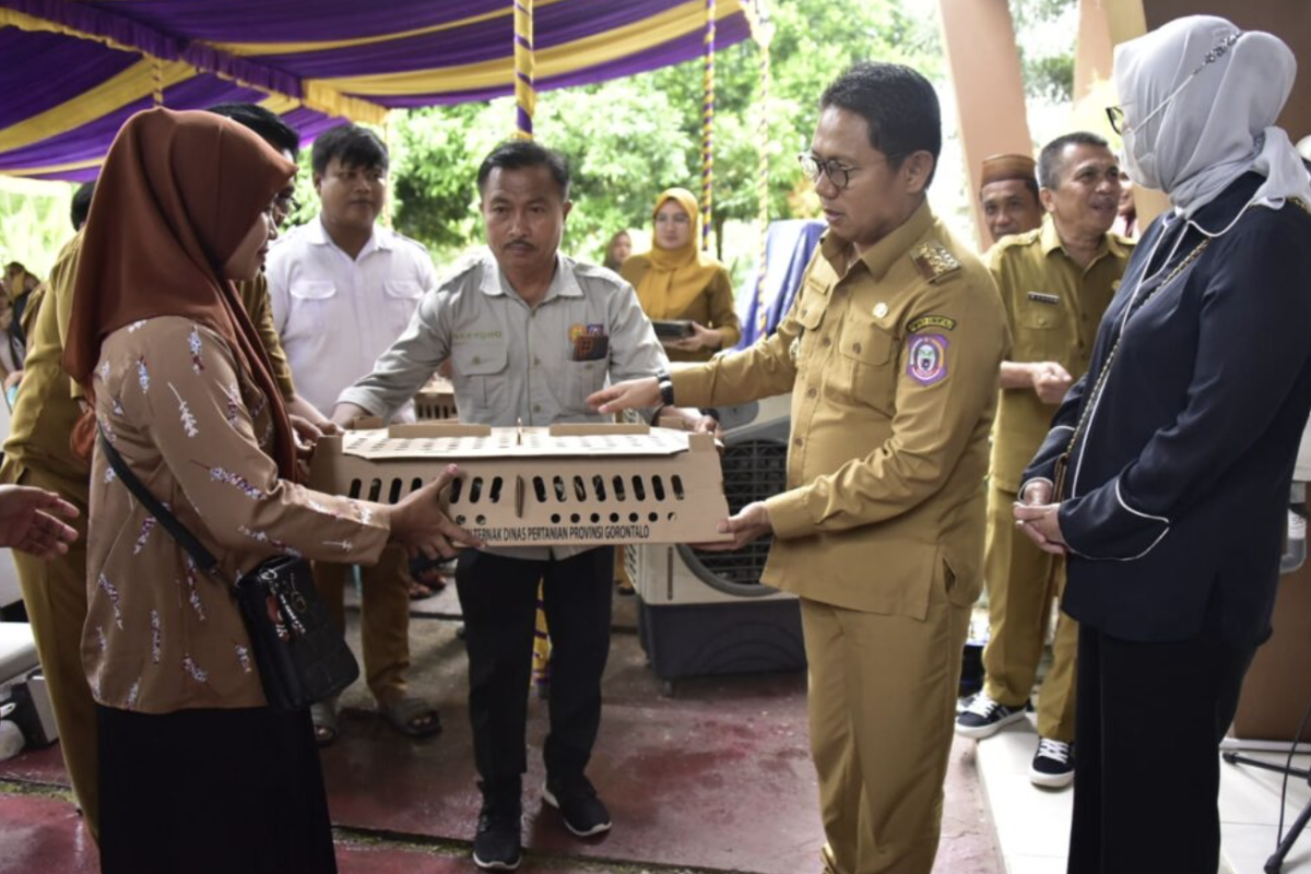 Gubernur Gorontalo serahkan bantuan pertanian kepada kelompok tani