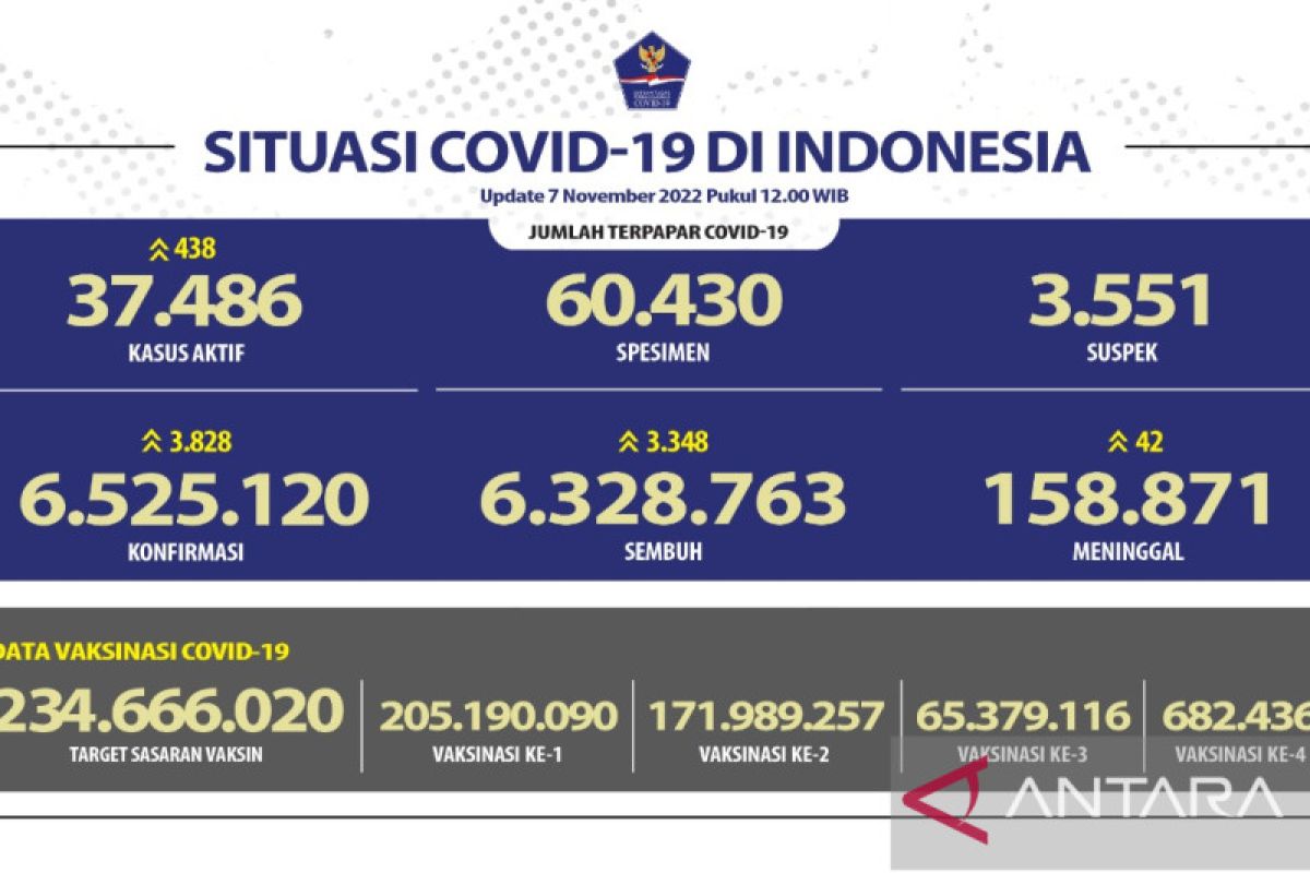 Senin, positif COVID-19 di Indonesia bertambah 3.828 kasus