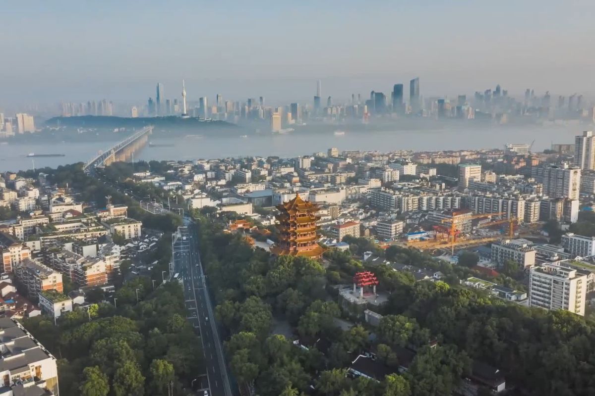 Wuhan, sebuah metropolis surga kawanan burung migran di China