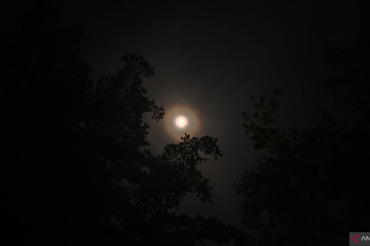 BMKG prakirakan fenomena gerhana bulan total di Palembang diprakirakan Selasa petang