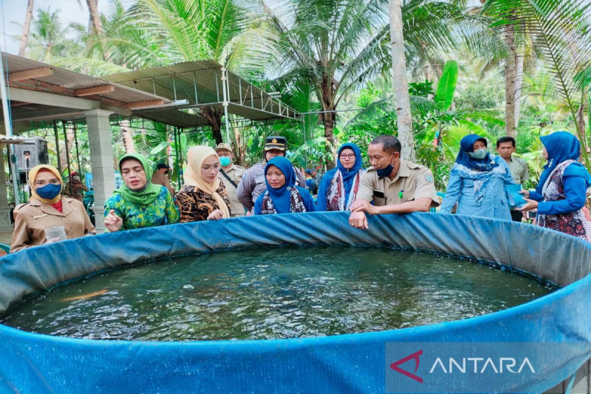 Blumbang Ayu maju lomba Kelompok Budi Daya Ikan 2022 Kabupaten Kulon Progo