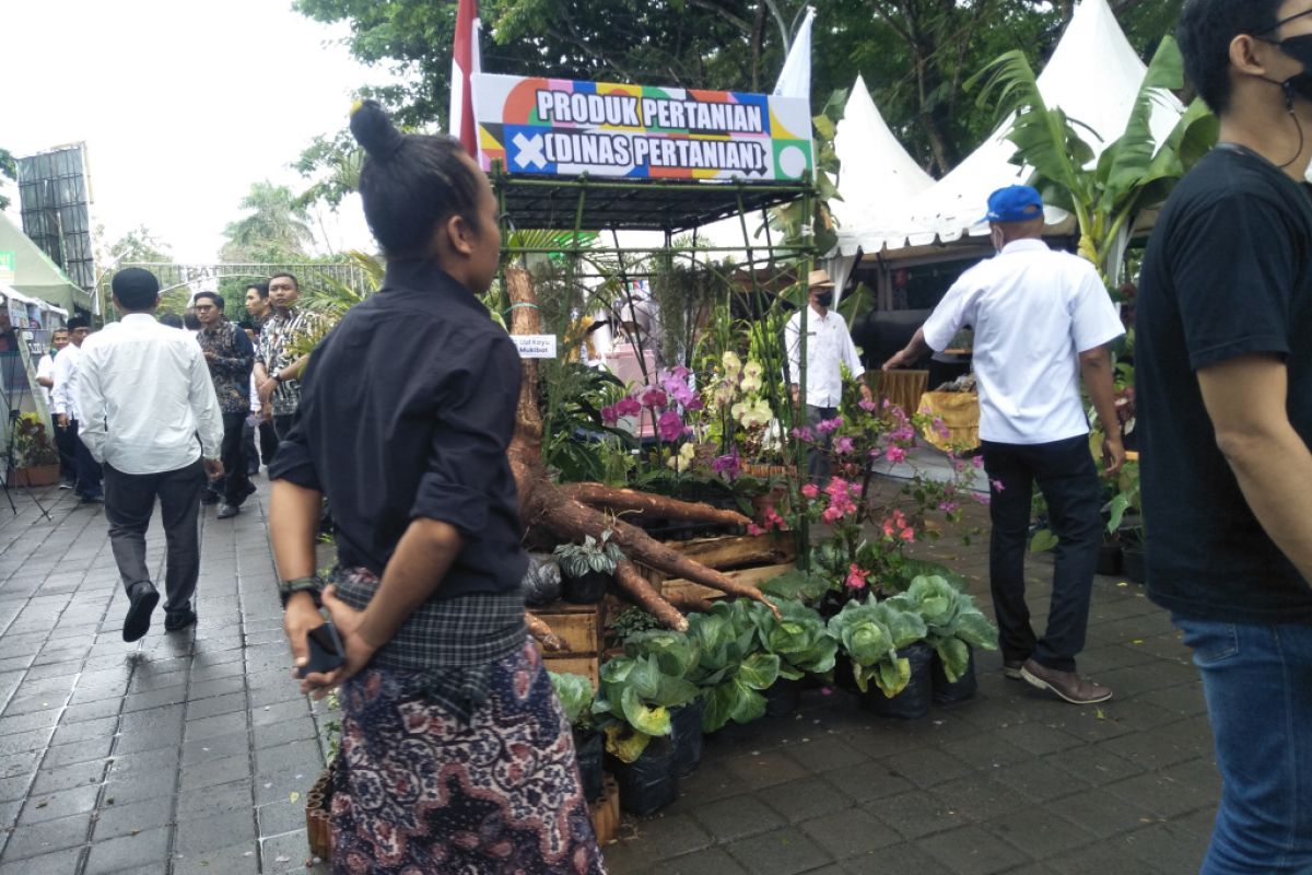 Kemenkop UKM perpanjang pendataan SIDT UMKM di Loteng