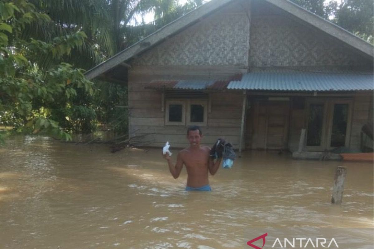 Banjir masih rendam Aceh Timur, pengungsi capai 3.145 jiwa