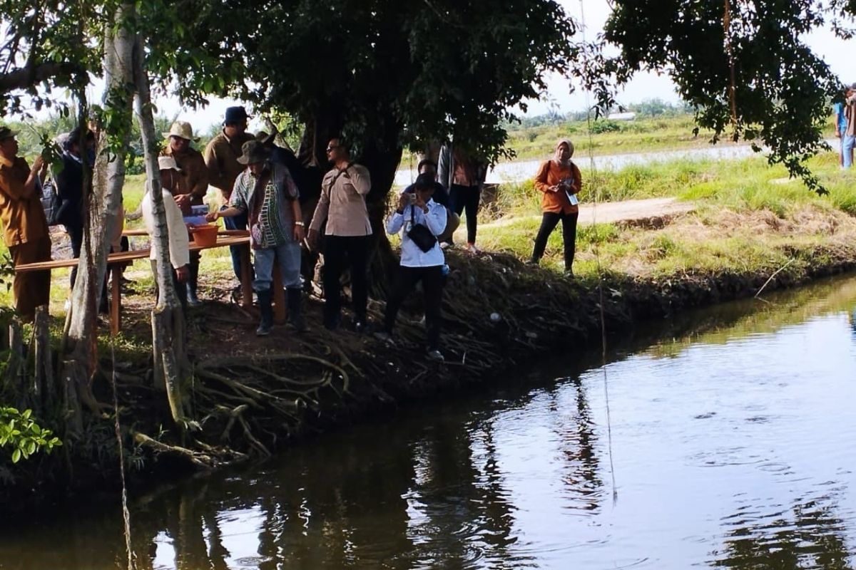 BRGM RI percepat rehabilitasi hutan mangrove di Sumut