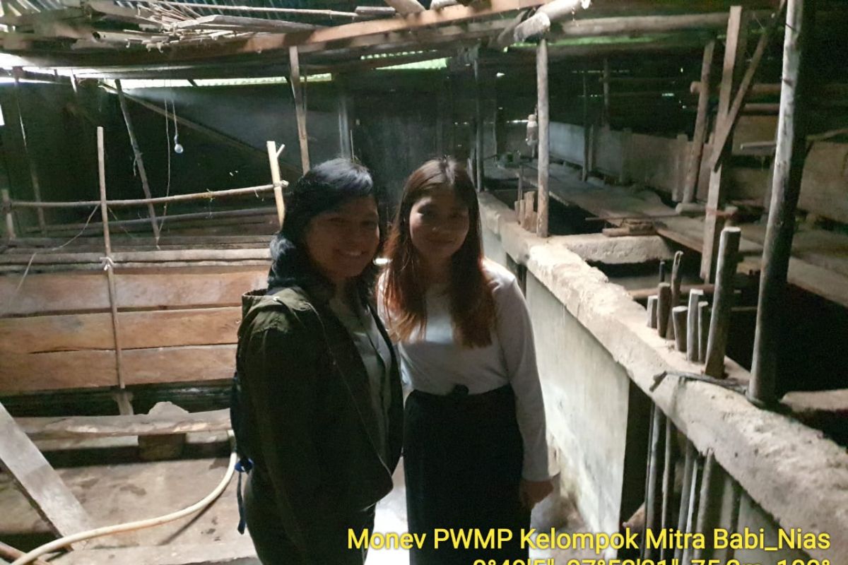Monev alumni, Polbangtan Kementan pastikan PWMP di Nias Selatan meningkat