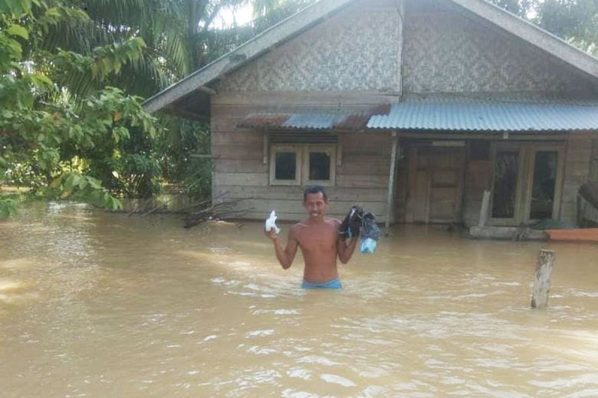 BPBD: 11.893 jiwa di Aceh Timur terdampak banjir