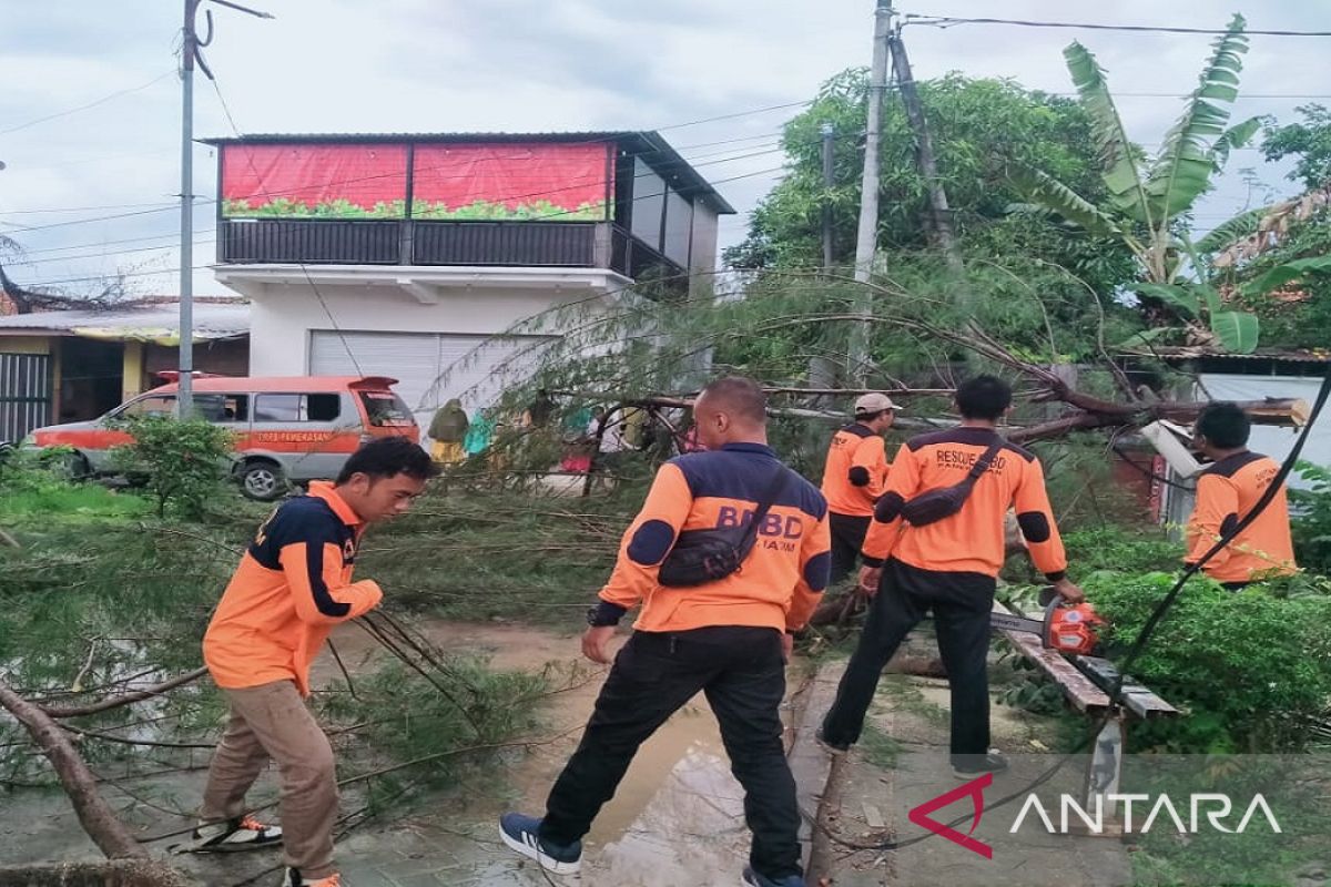 Hujan deras disertai angin kencang putuskan aliran listrik di Pamekasan