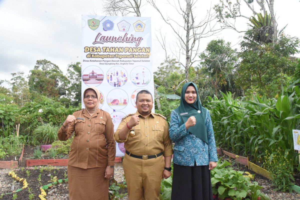 Wujudkan ketahanan pangan Tapsel melalui desa tahan pangan