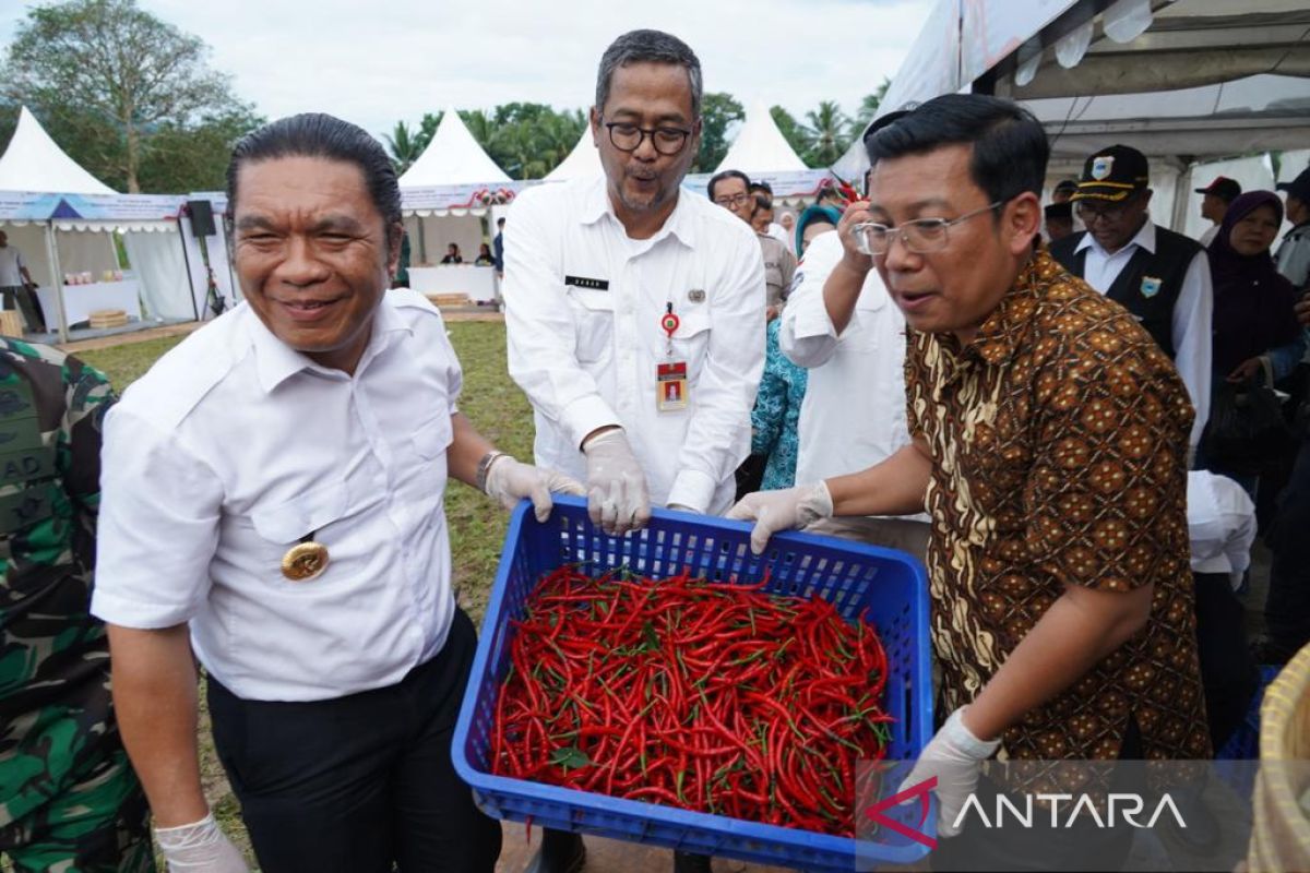 Perkuat Stok Cadangan Pangan, NFA Dorong Pengembangan Cabai Merah di Banten