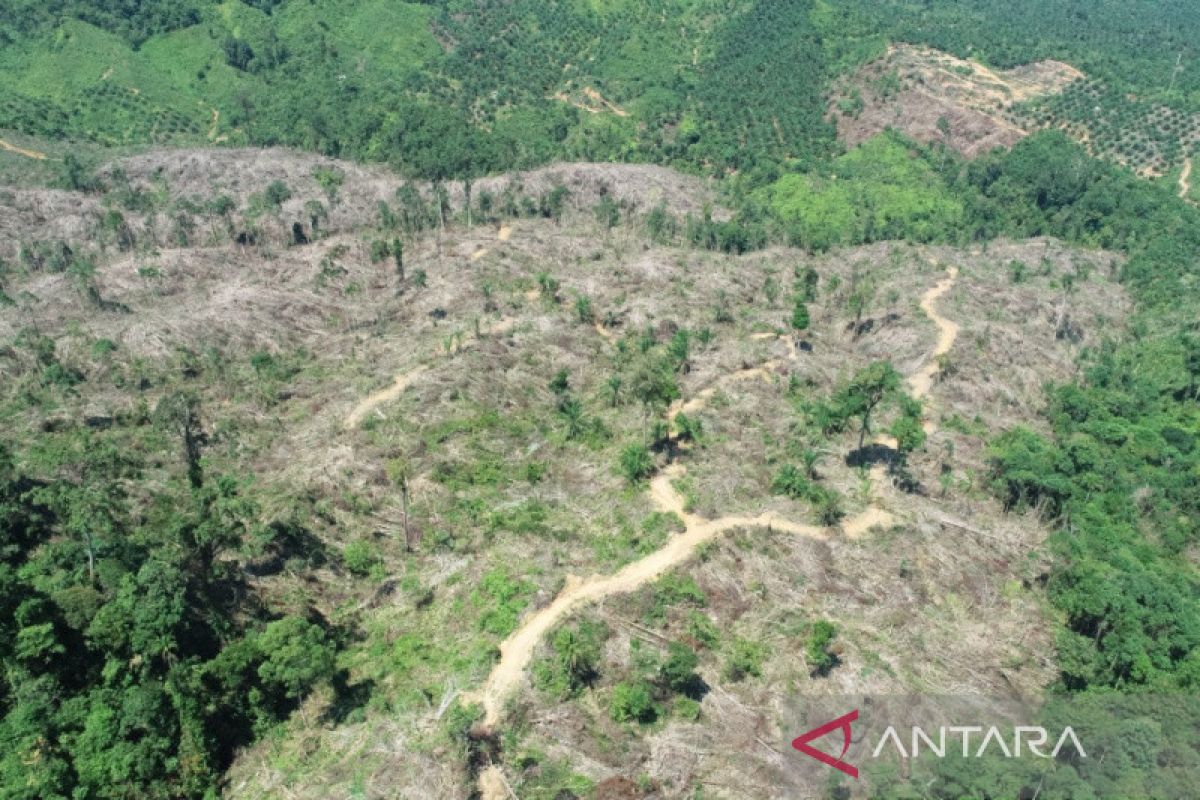 KPH Mukomuko dalami informasi aktivitas alat berat dalam hutan