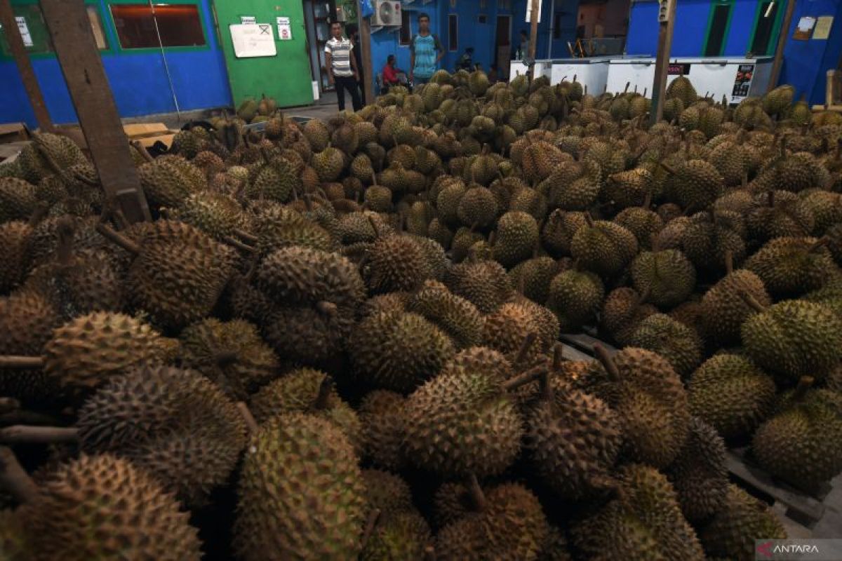 Parigi dorong festival durian se-Asia  untuk promosi produk pertanian