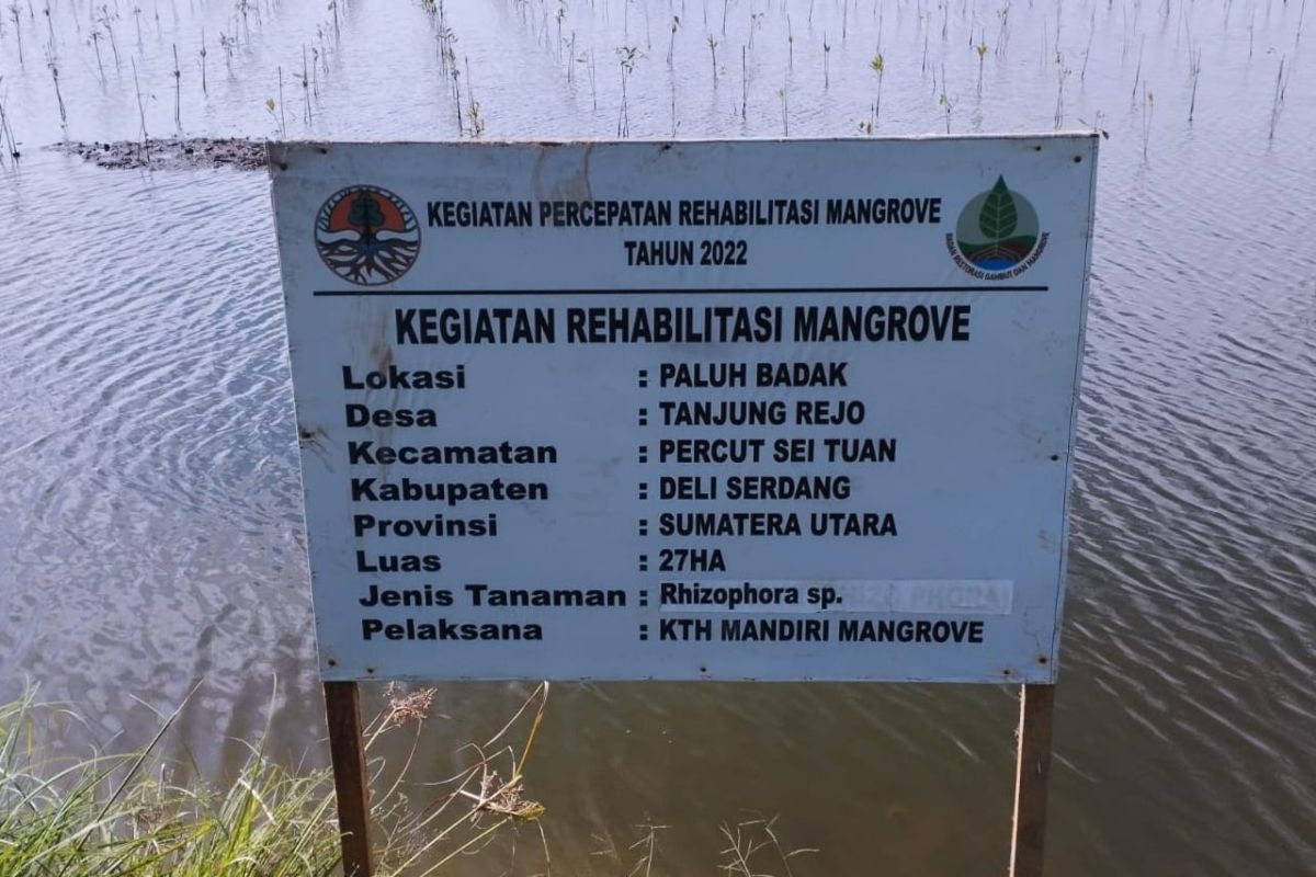 BRGM RI tanam 27 hektare mangrove di Deli Serdang