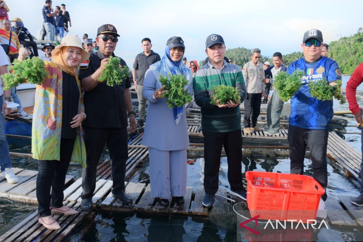 Hasil laut Karimata sangat kaya dan bernilai ekspor