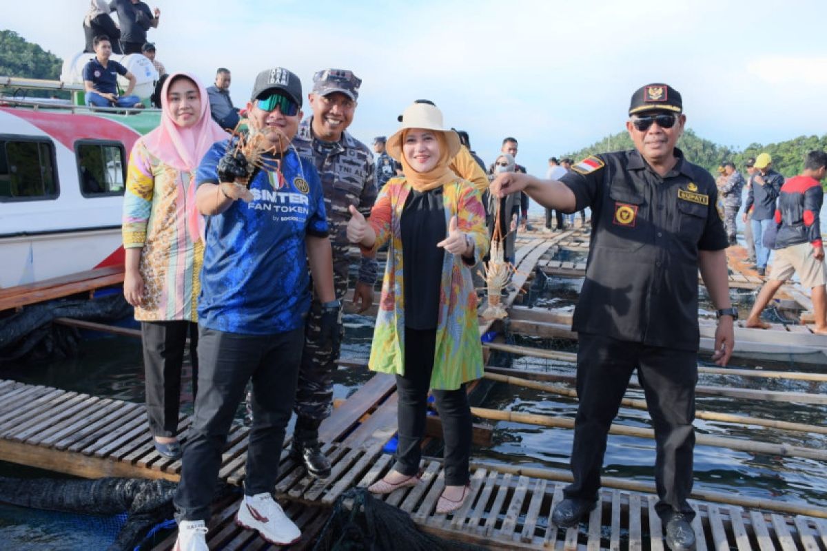 Festival panen budidaya hasil laut Karimata bisa tingkatkan  perekonomian warga