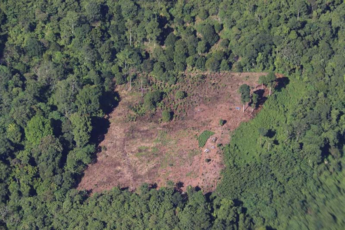Polda Aceh selidiki perambahan hutan proyek jalan Jantho-Lamno