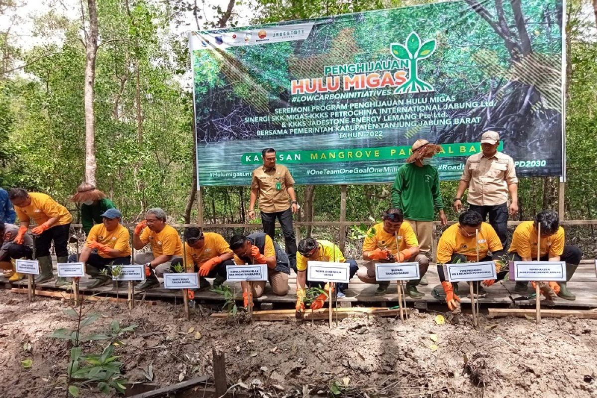 SKK Migas-PetroChina tanam mangrove dan bangun infrastruktur di Pangkal Babu Tanjabbar