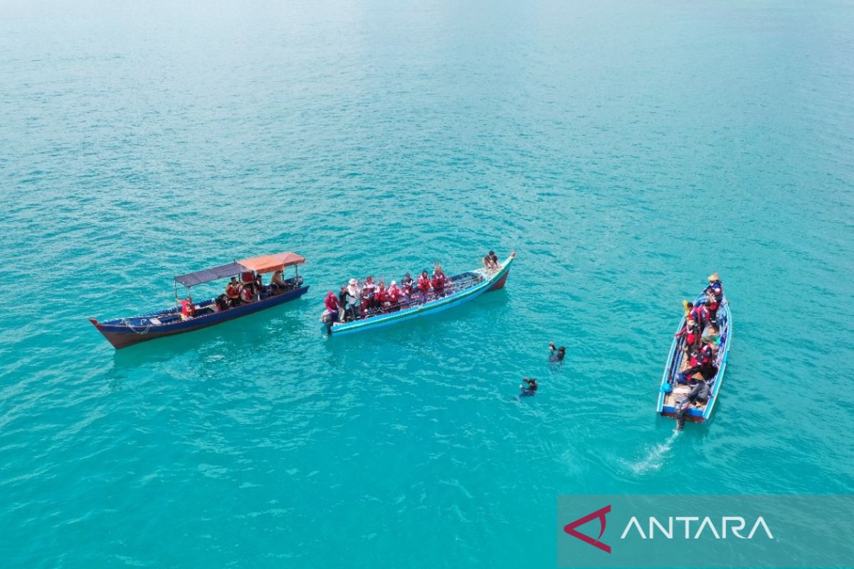 Geliatkan wisata bawah laut di perairan Bedukang, PT Timah tenggelamkan coral garden