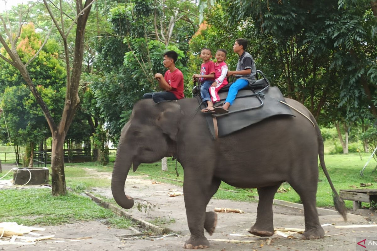 Kebun Binatang Kasang Kulim dipadati pengunjung di hari biasa