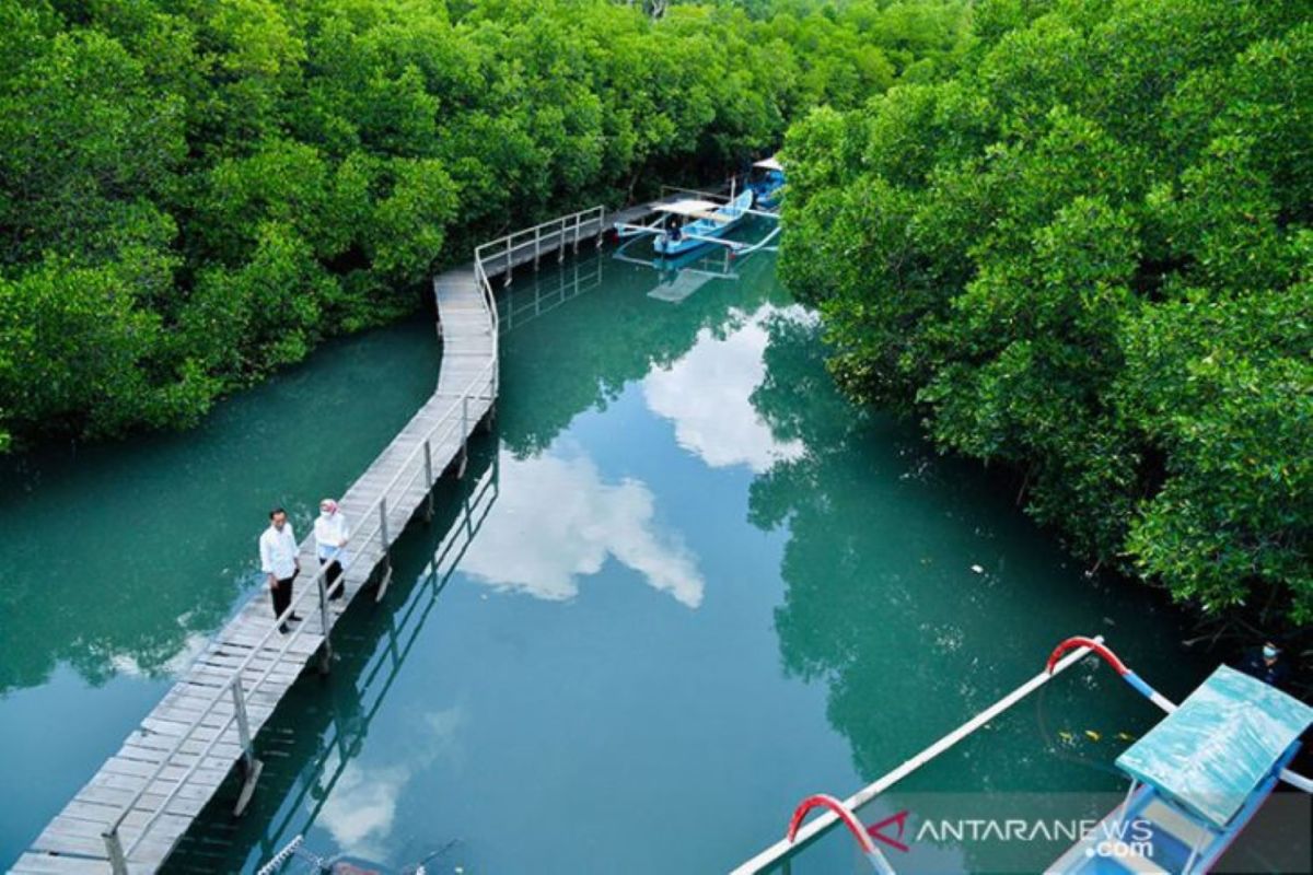 Taman Hutan Rakyat Ngurah Rai siap dikunjungi delegasi KTT G20