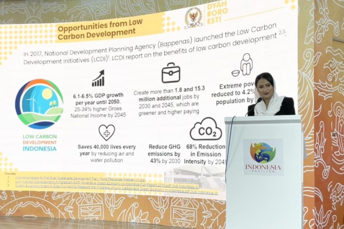Anggota DPR Dyah Roro Esti paparkan manfaat dekarbonisasi di KTT COP27