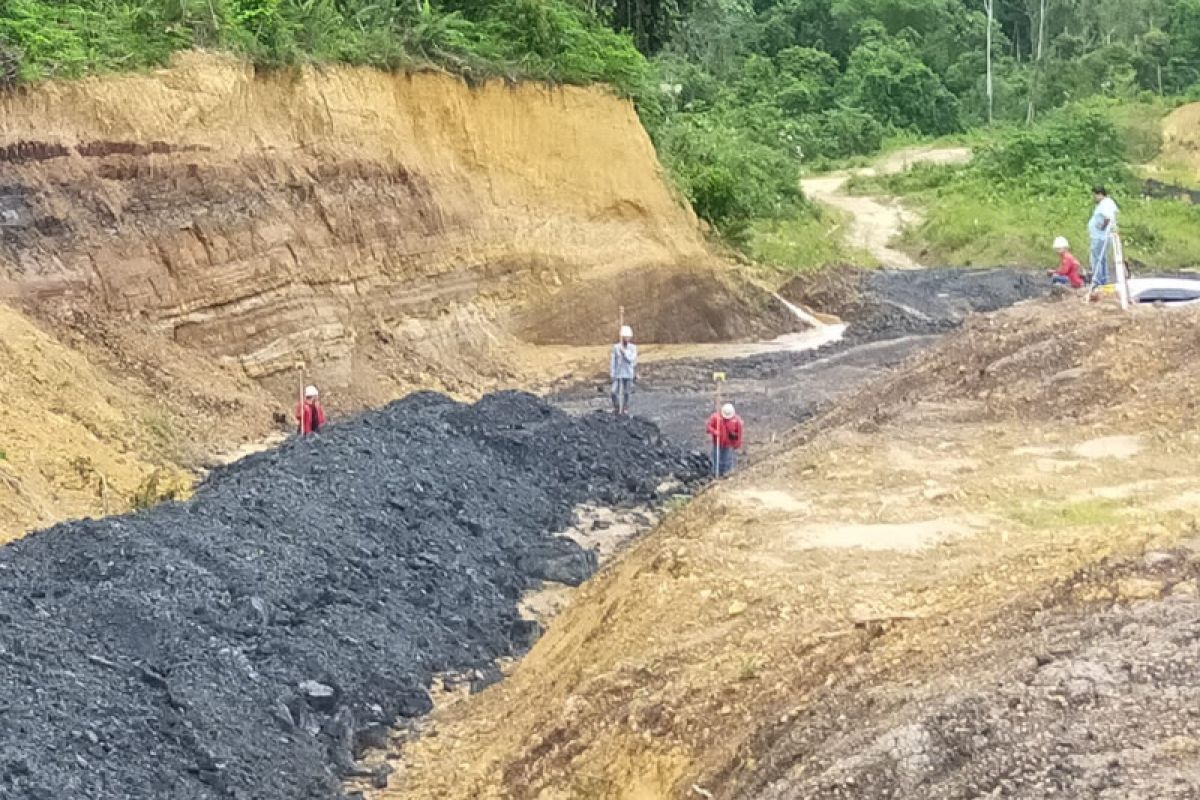 Eks Kabareskrim: Kasus video Ismail Bolong harus diusut secara pidana