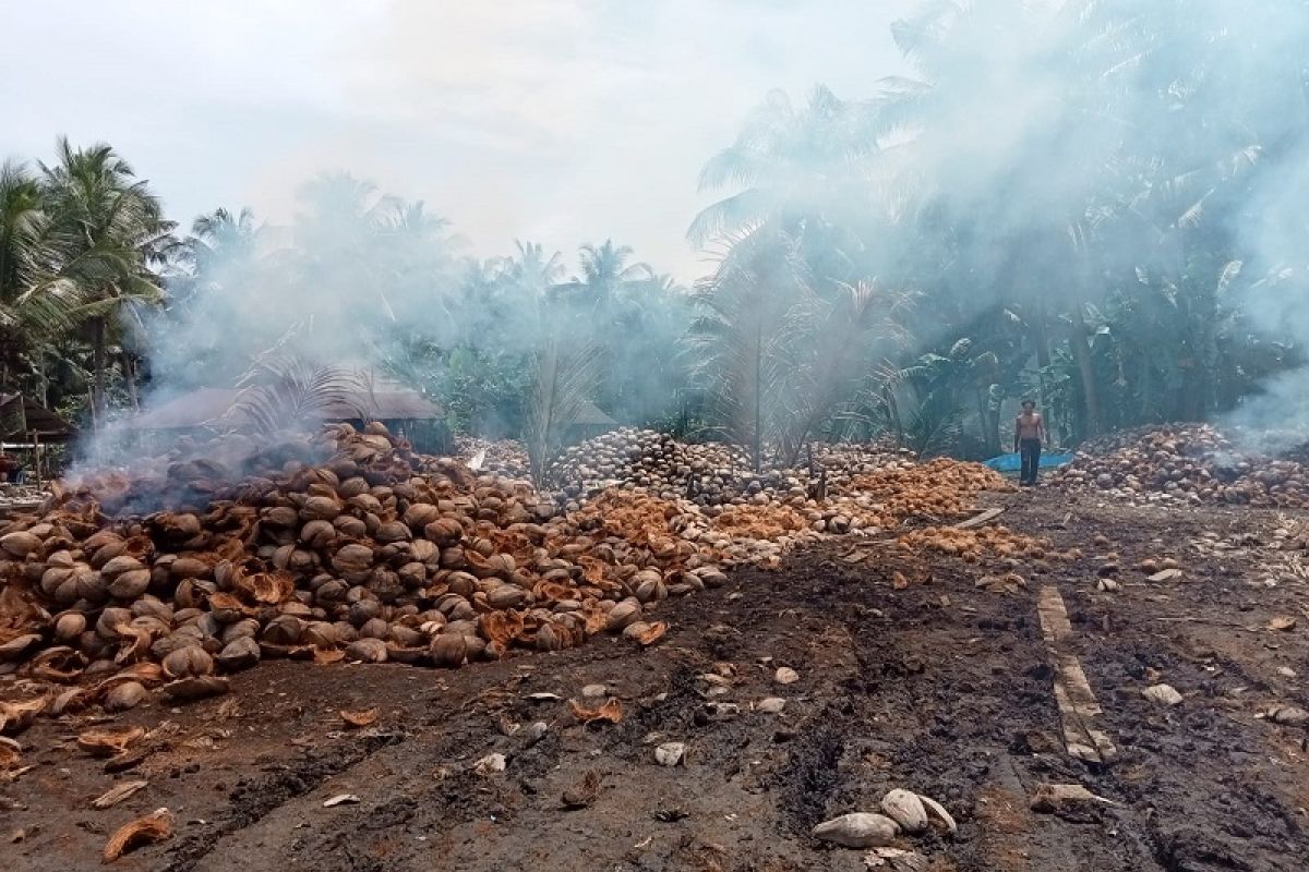 Sabut kelapa melimpah di Tanjabbar