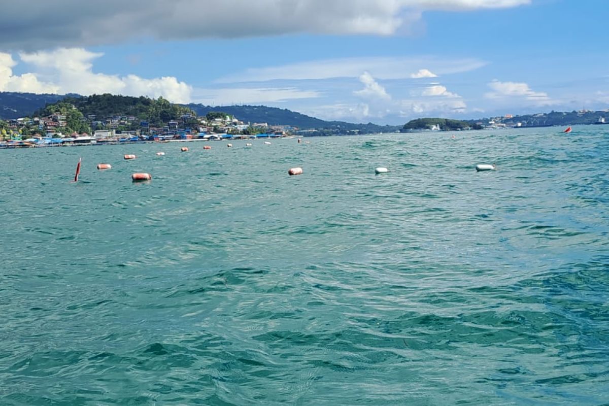 TNI AL Jayapura tenggelamkan 30 mobil rusak untuk rumah ikan dan spot diving