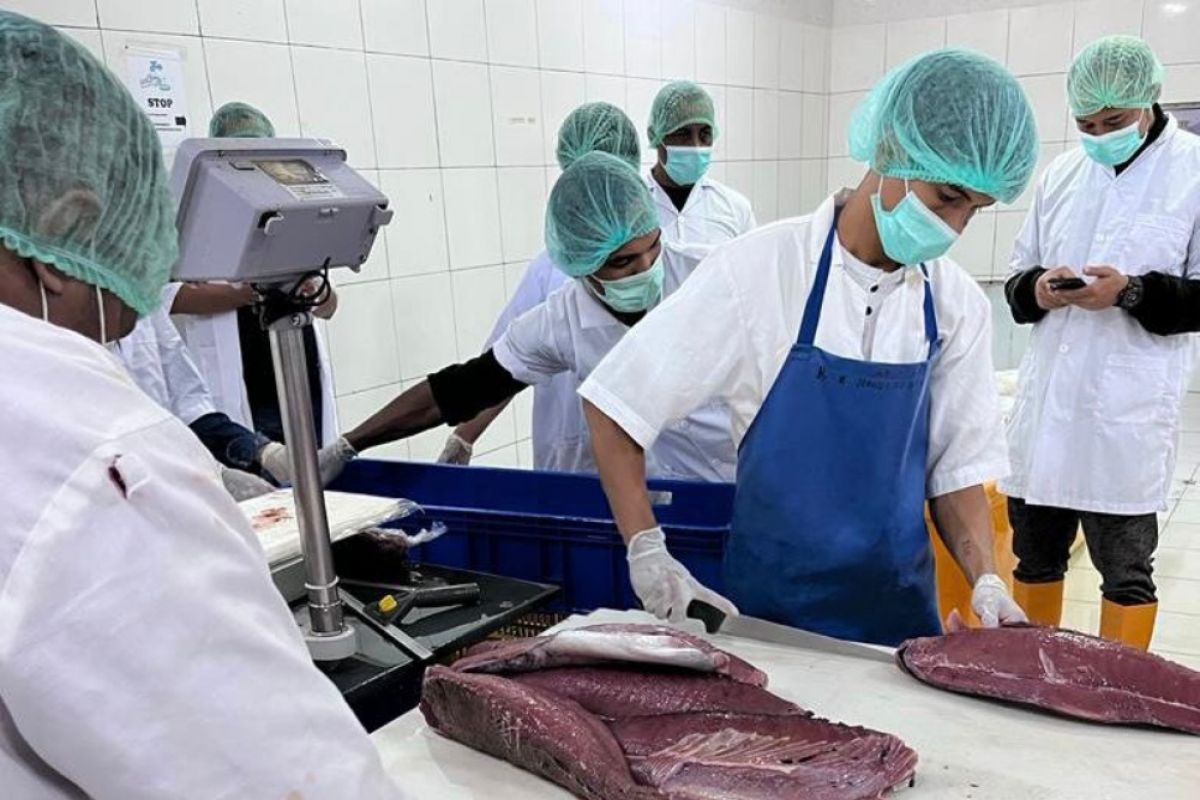 PT Perikanan Indonesia kirim 10,8 ton Tuna Loin ke Jepang