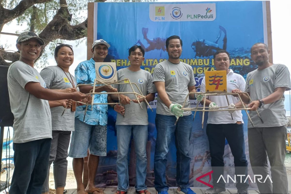 PLN-KKP bersinergi rehabilitasi terumbu karang Gili Trawangan Lombok