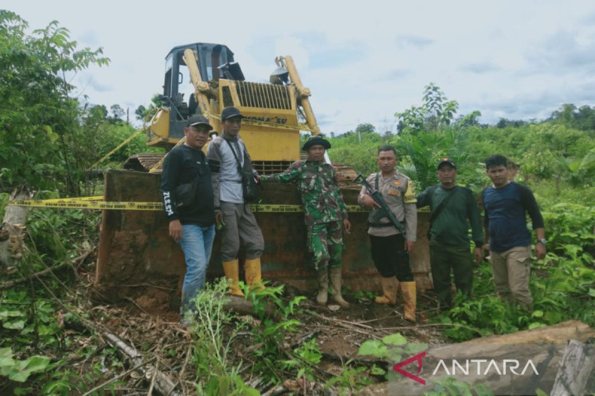 Polisi selidiki pelaku perambahan hutan produksi
