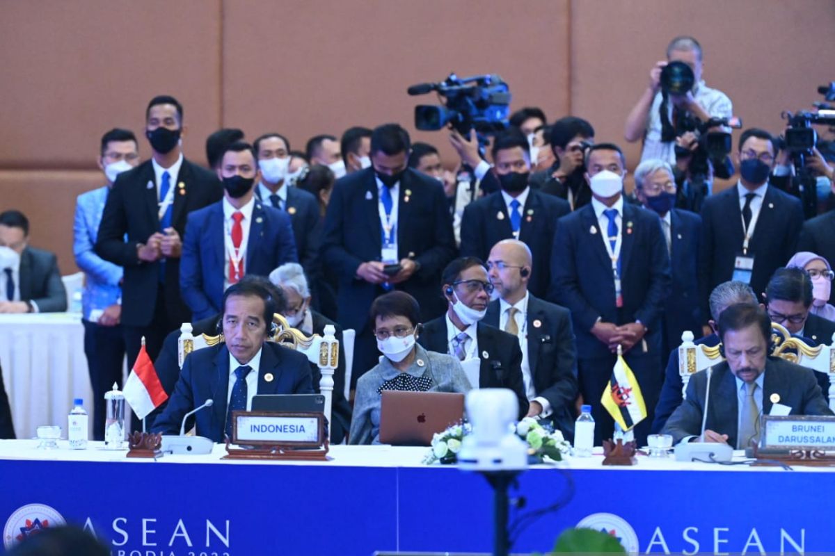 ASEAN-India partnership to maintain Indo-Pacific stability: Jokowi