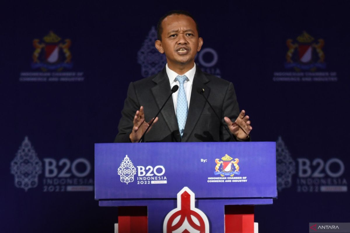 Indonesia dorong sebaran investasi ke negara berkembang melalui G20