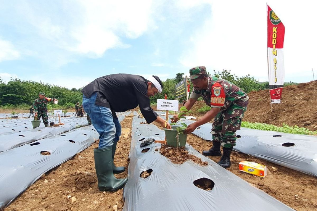 Anggota DPR Dedi Mulyadi sebut jaga ketahanan pangan berarti ikut menjaga negara