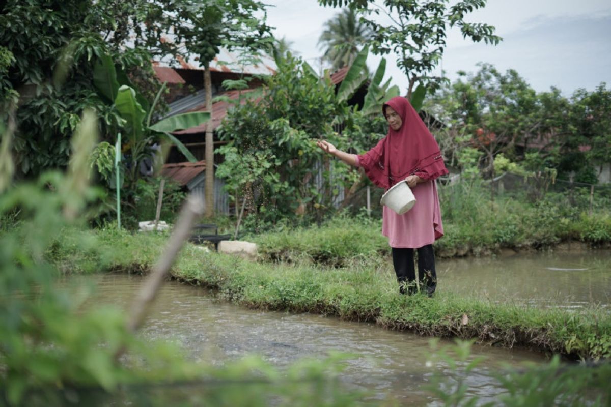Penerima program budidaya ikan nila Dompet Dhuafa terbantu ekonomi keluarganya