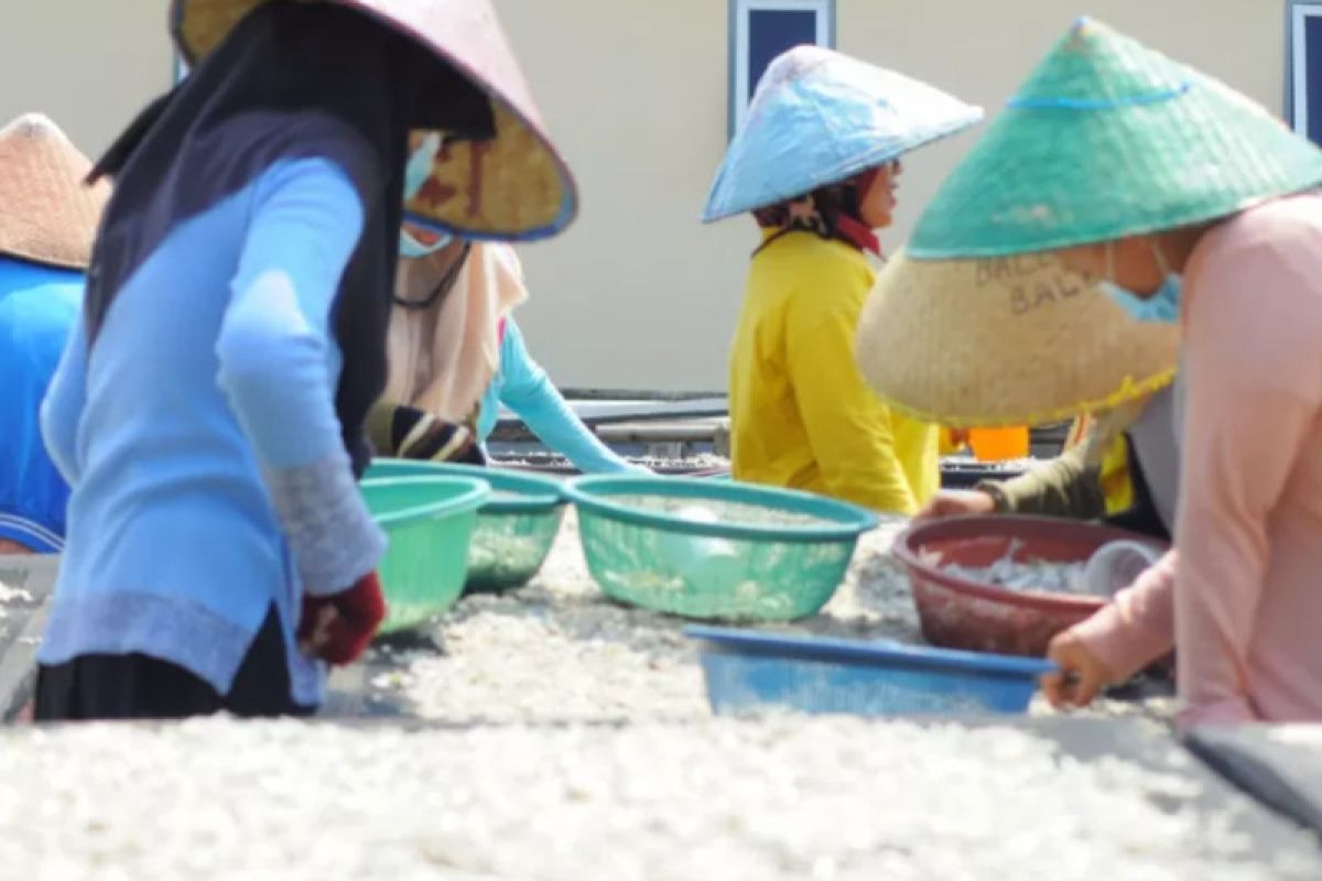 Pemkot Bandarlampung diharapkan jamin pemenuhan hak perempuan nelayan